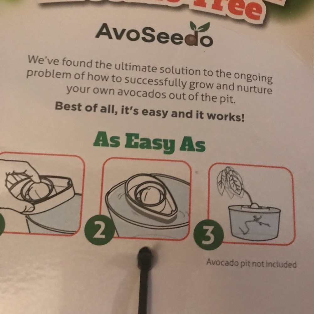 Avocado tree assist - Picture 2 of 5